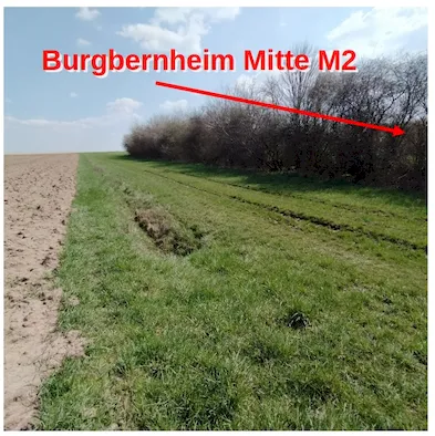 Burgbernheim: Die Mitte M2