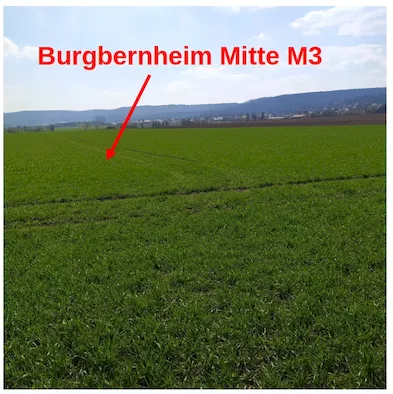 Burgbernheim: Die Mitte M3